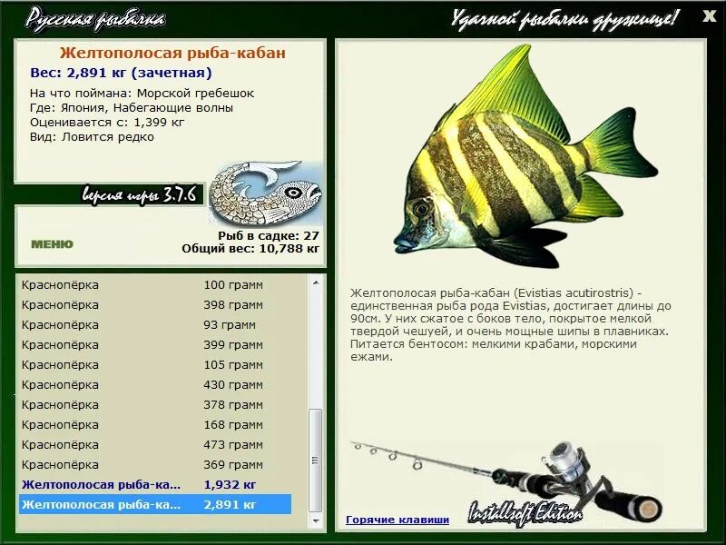 русская рыбалка 3 7 6 япония желтополосая рыба-кабан. знаменитости рыбы свинья. год кабана. совместимость рыб в аквариуме таблица. вес дикого кабана по таблице.