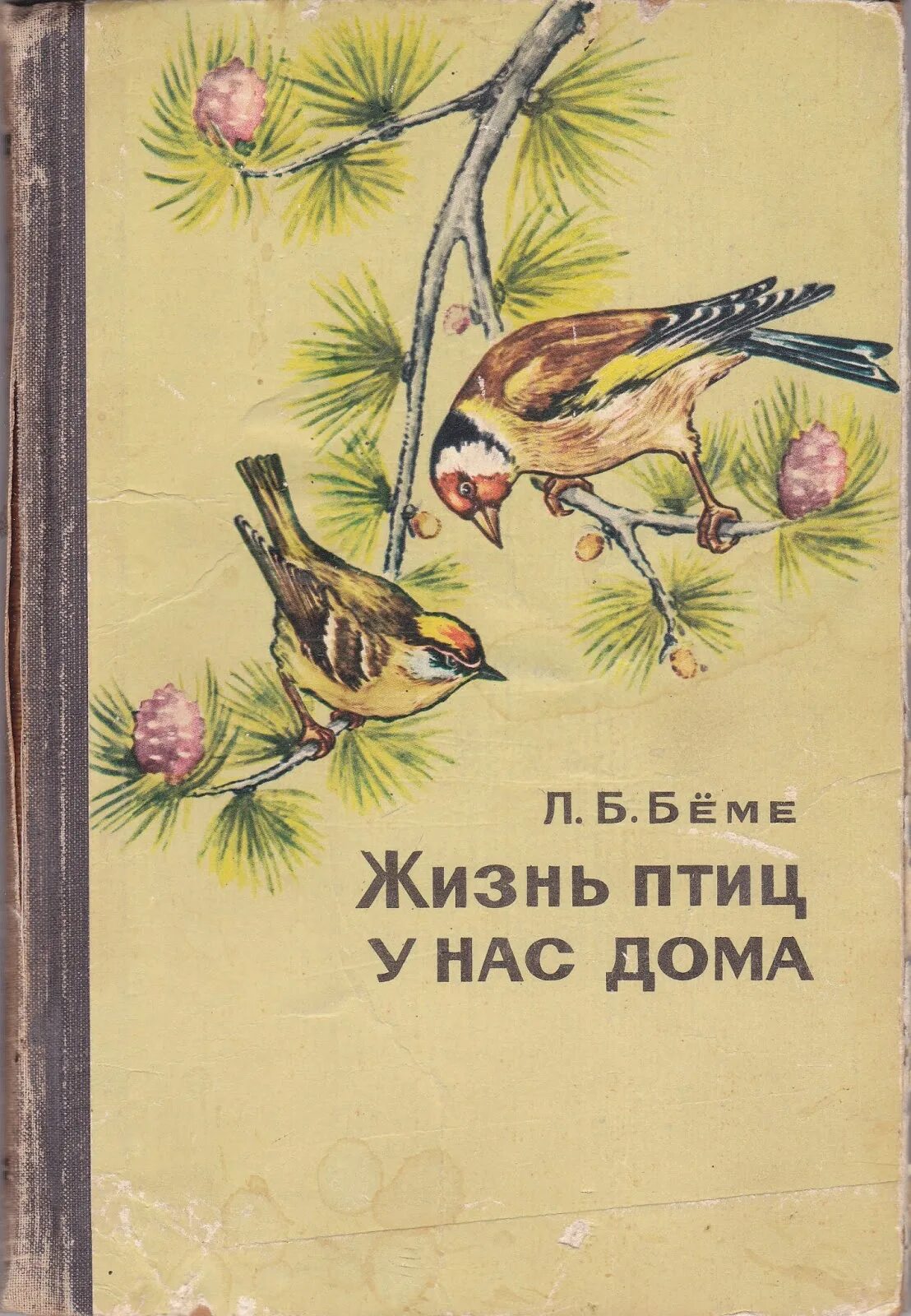 Содержание птиц книги. Жизнь птиц у нас дома" л. б. Беме.. Бёме жизнь птиц у нас дома. Книга жизнь птиц у нас дома Беме. Книги о птицах.