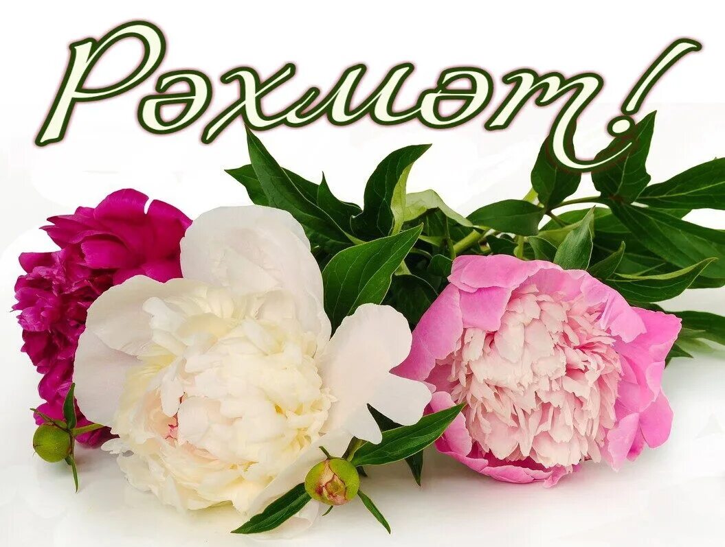 Спасибо за поздравления по татарски. Благодарность на татарском языке. Рэхмэт коне. Рэхмэт коне. Рэхмэт коне.