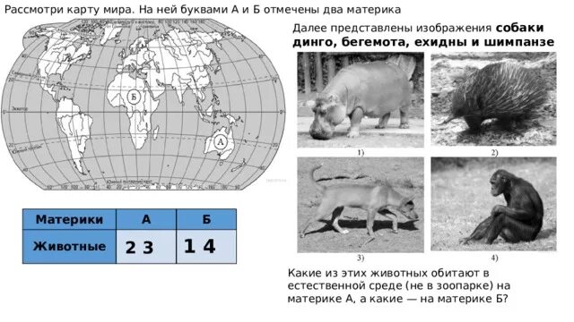 На каком материке обитает ворон обыкновенный впр. Материки на карте ВПР. Карта ВПР окружающий мир.