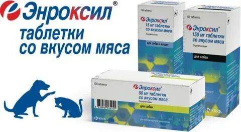 Энроксил для кошек