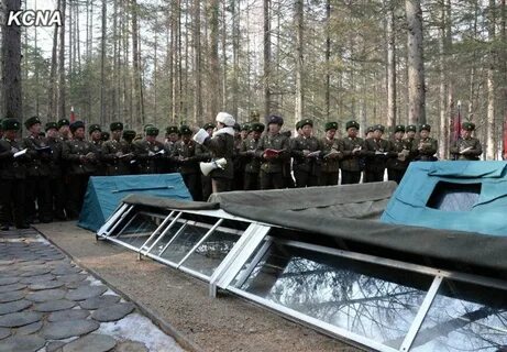Походы по местам боевой славы