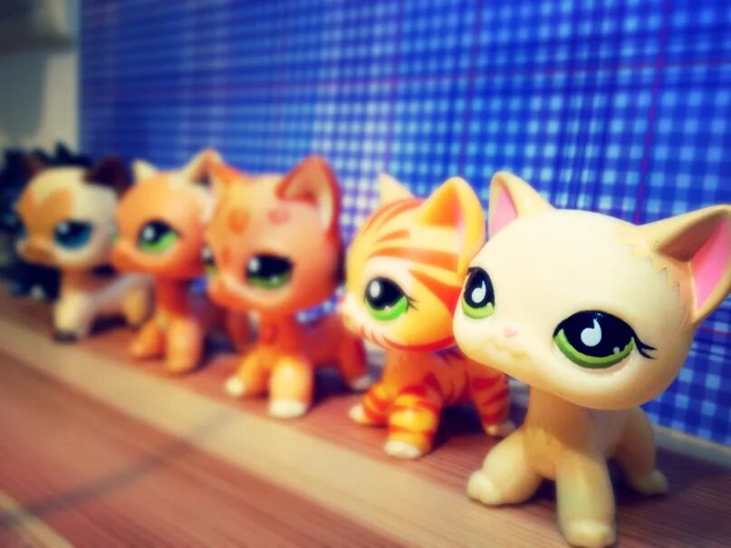 Лпс фенек. Лпс хасбро старой коллекции. Видео пет шоп. Видео пет шоп. Littlest pet shop 2011.