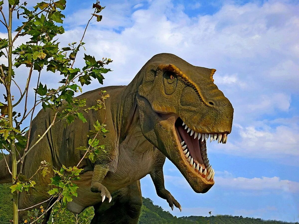 Тираннозавр. Динозавры хищники тиранозавр. Тираннозавр. Тираннозавр. Тиранозавр тиранозавр.