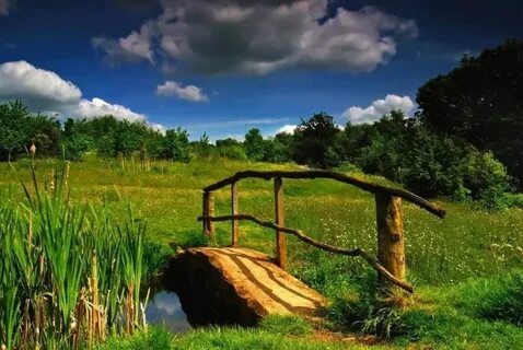 Природа картинки простое