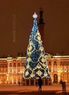 Елочки спб