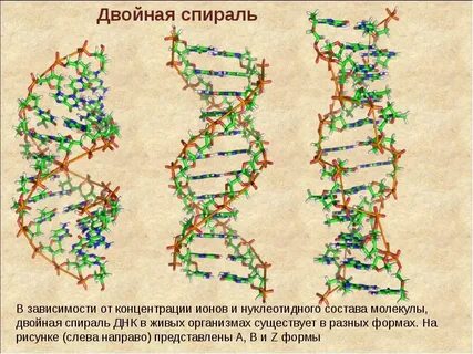 Спираль зависимости