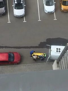 Зеленоград найден