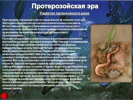 Жизнь на земле возникла первоначально на суше