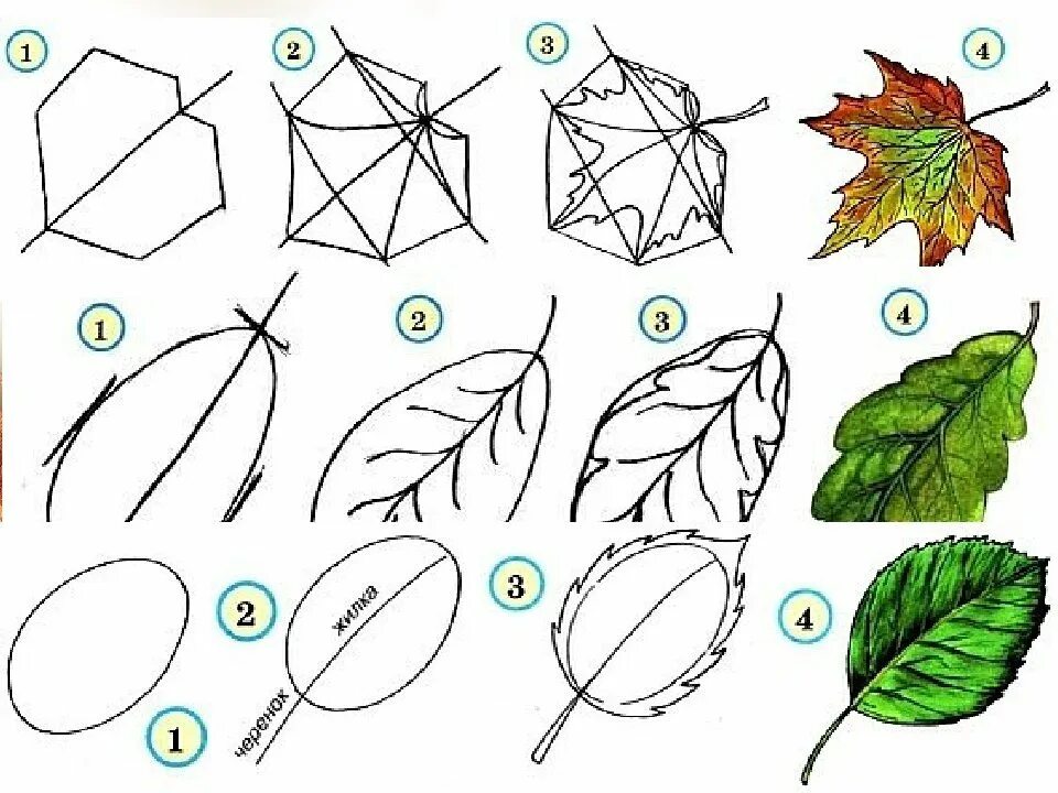 Рисование осенних листьев. Этапы рисования листьев. Рисование осени листьев. Рисование листьями деревьев. Поэтапно объяснение