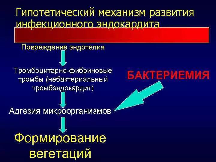 Инфекционный эндокардит и инфекция внутрисердечных устройств. Инфекционный эндокардит и инфекция внутрисердечных устройств