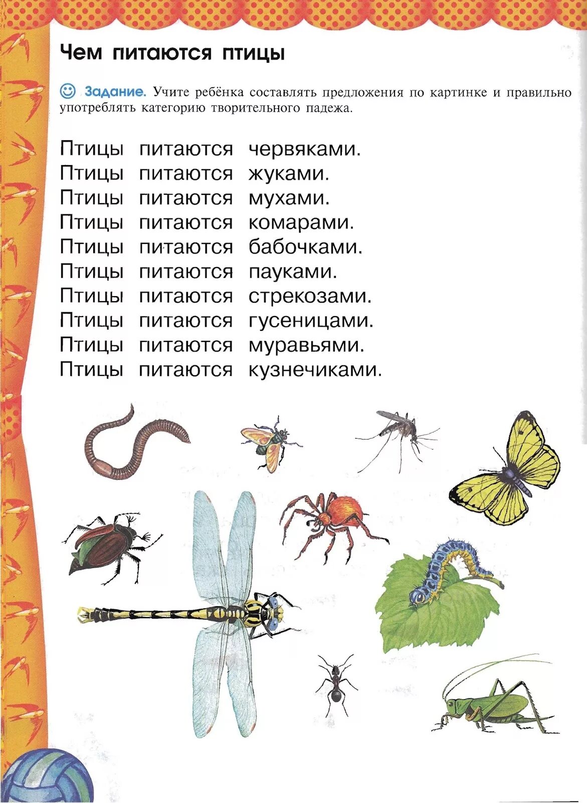 Задания по теме насекомые. Лексическая тема насекомые задания. насекомые задания для детей. насекомые логопедическое занятие в старшей группе. картинки чем питаются птицы.