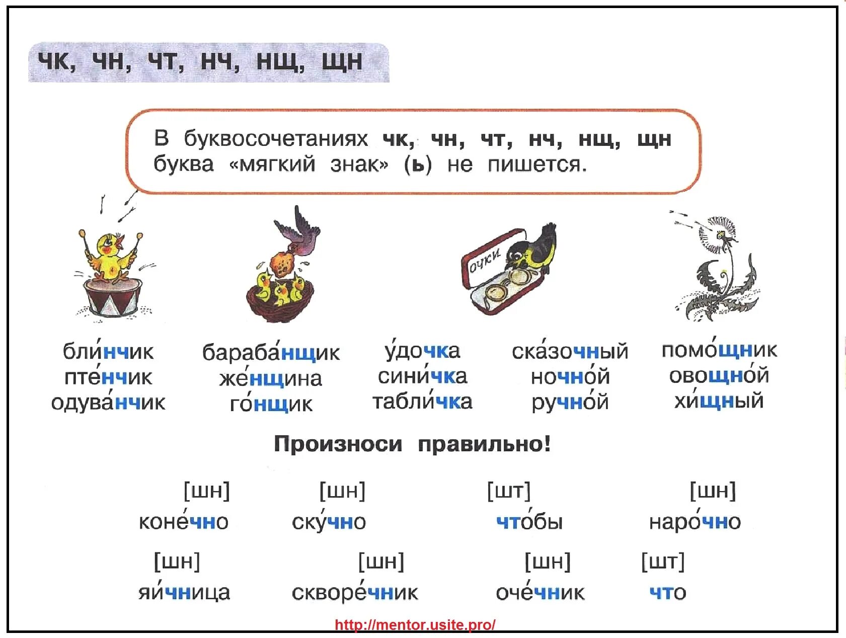 Орфографические слова на чн. Буквосочетания ЧК ЧН. Буквосочетания чт, ЧК, ЧН, НЧ, НЩ, ЩН.. Буквосочетания НЩ НЧ. Буквосочетания ЧК ЧН НЧ ЩН.