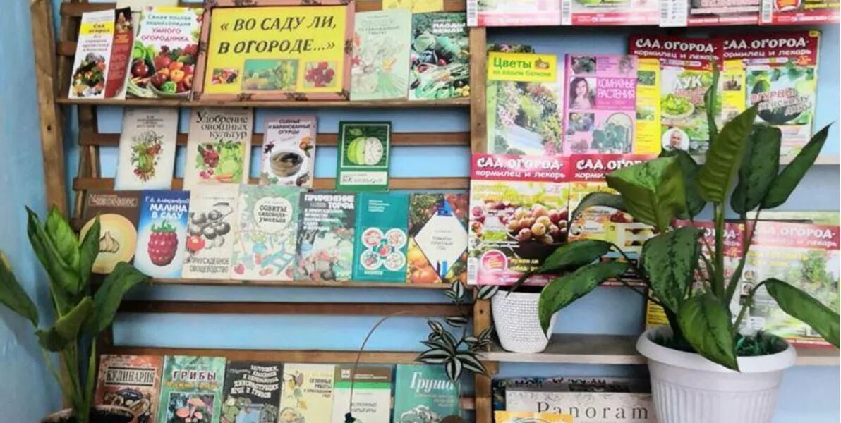 Книжная выставка сад и огород в библиотеке. Ярмарка сад огород. Зеленая ярмарка. Книжная выставка сад и огород в библиотеке. Выставка сад огород ростов 2024.