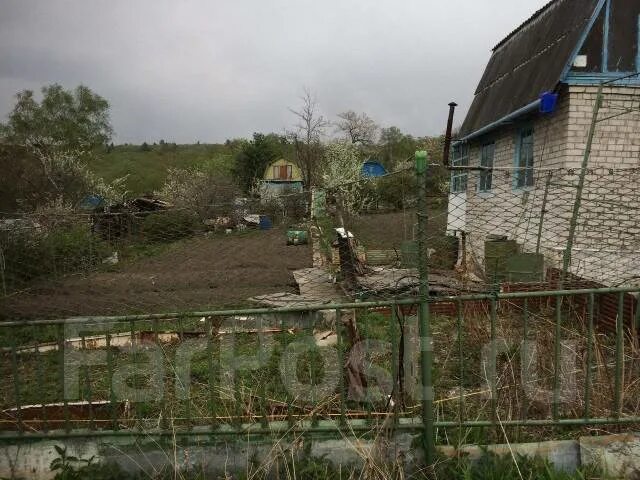 Кипарисово надеждинская. Надеждинский зоопарк надеждинский рисунки. Дача в кипарисово. Вольно-надеждинское приморский край. Кипарисово владивосток.