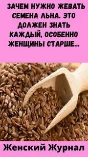 Разжевывать