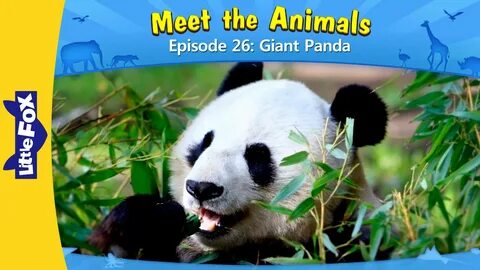 Level pandas