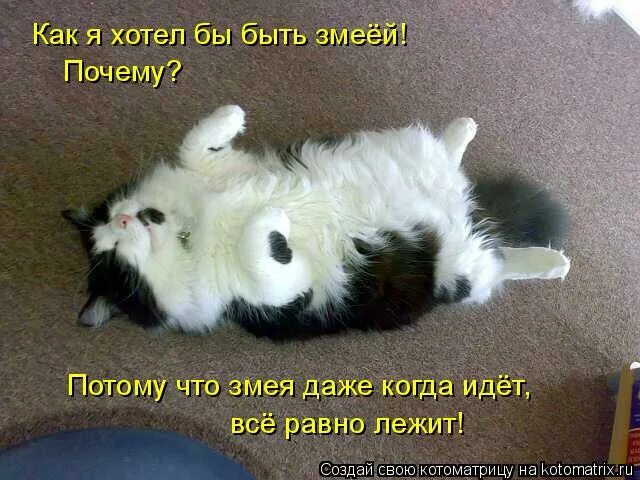 человек тебя не любит. я все равно буду тебя ждать. наверняка он лежит и думает обо мне. все равно. 1 день отпуска проснулась рано.