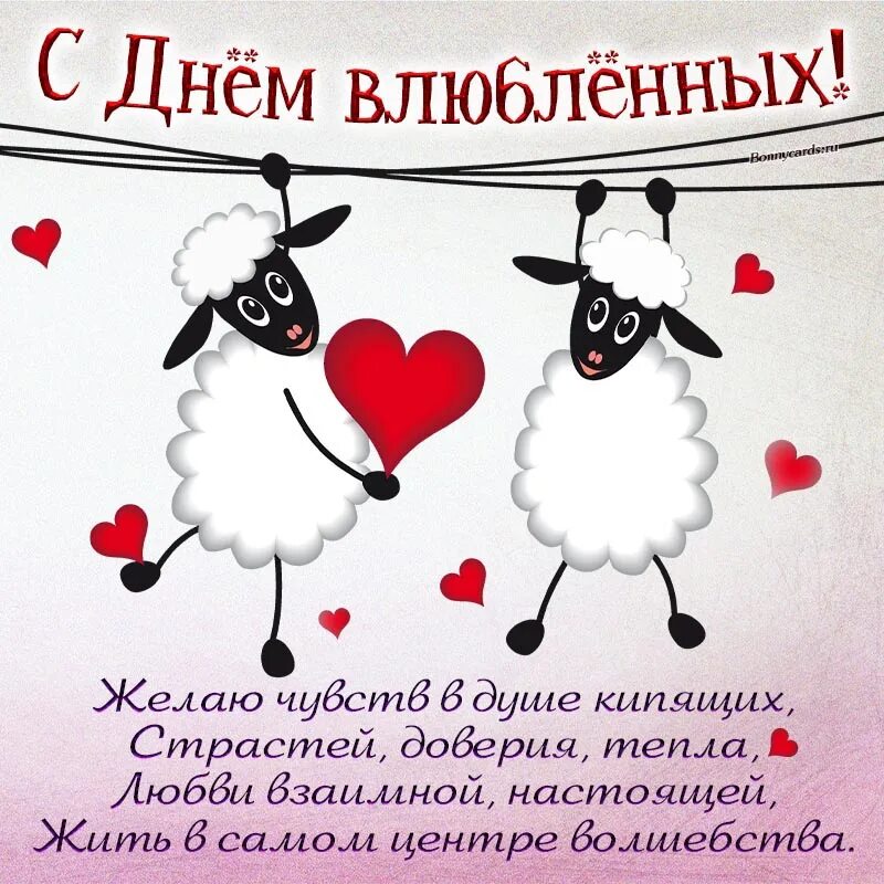 Пожелания на день всех влюбленных. С днем влюбленных.