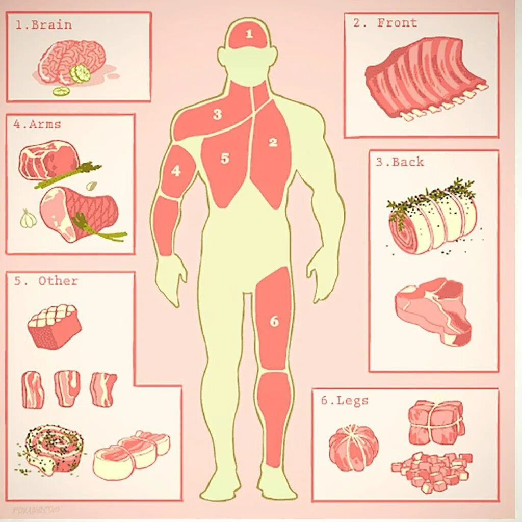 Мясные продукты. Полезность мяса. Мясо чем полезно для организма. Мясо вредно для организма. Кучка человеческого мяса.