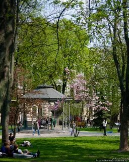 Киевский парк москва