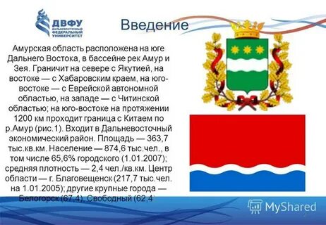 Амурская область сайт