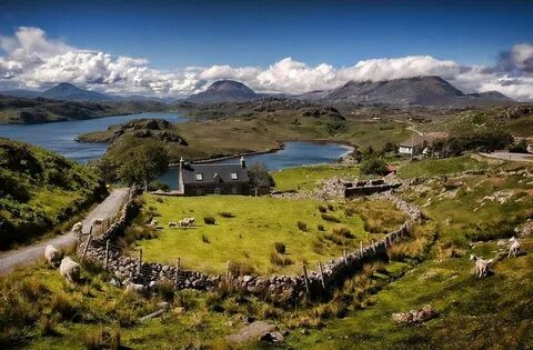 East highland
