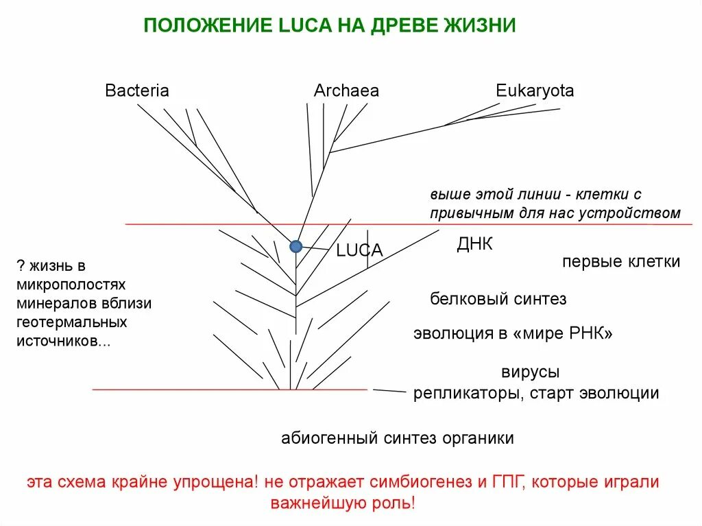 Максимальный уровень древа упадка