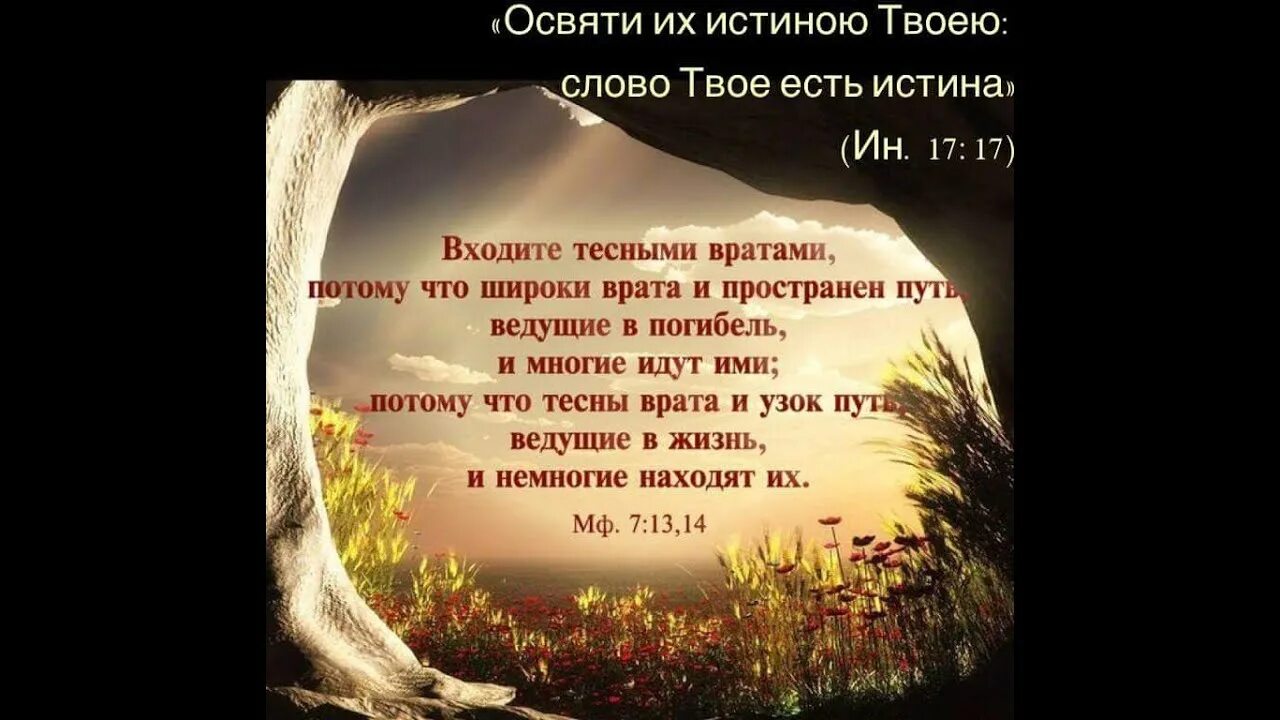 Узок путь и тесны врата ведущие в жизнь. Узкий путь тесные врата. Входите тесными вратами Библия. Узкий путь и широки врата.