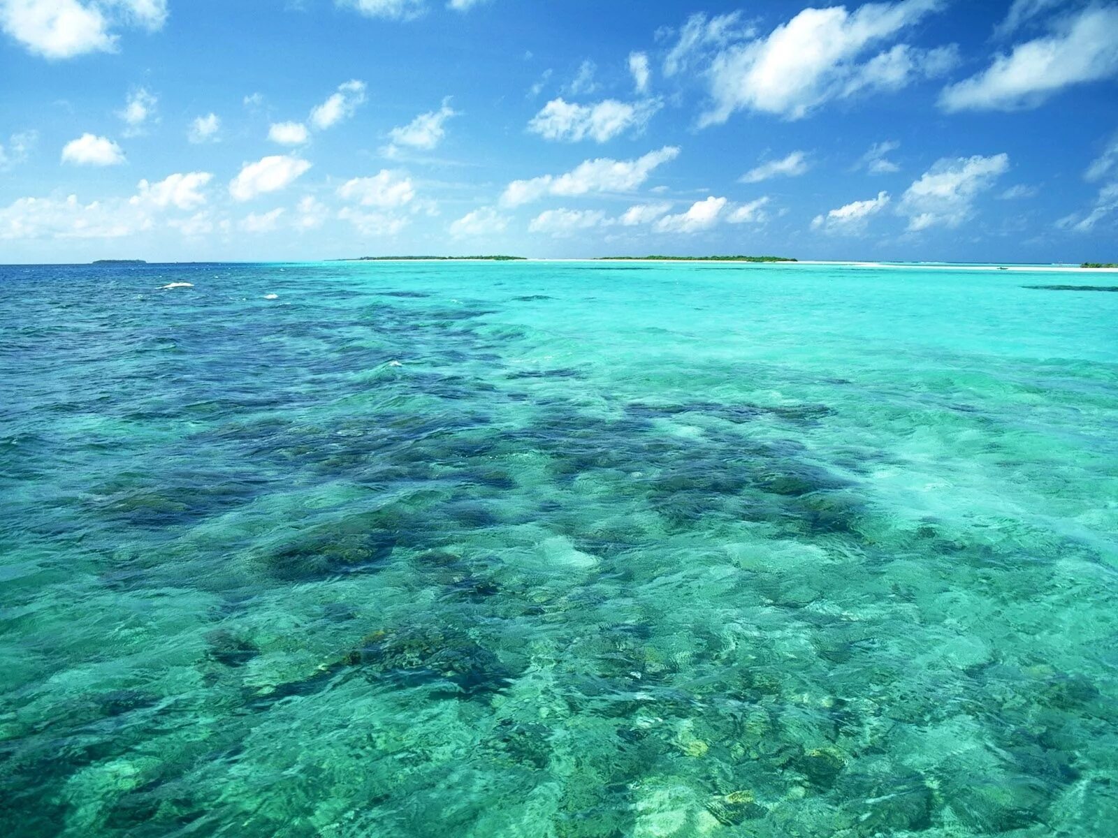 Прозрачное море. Голубое море. Прозрачная вода море. Бирюзовое море. Blue coast