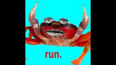 Крабик мем