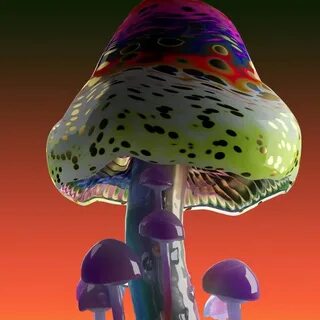 Hypno mushroom