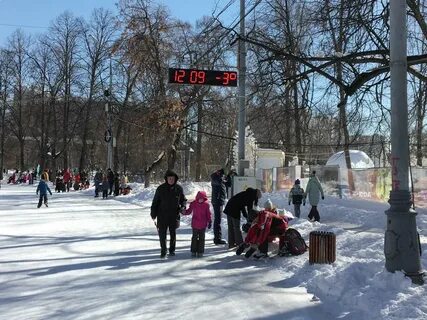 Гигант сокольники