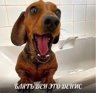 Ден это