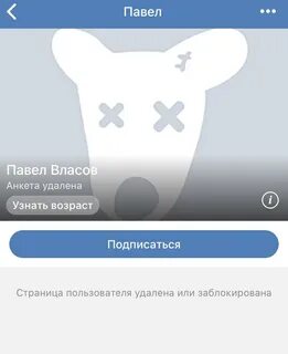 Сова никогда не