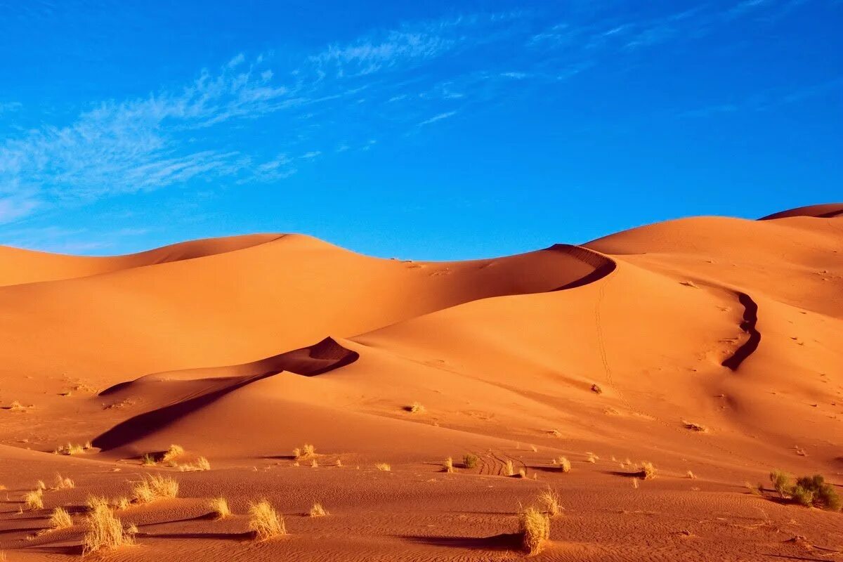 Самая сухая пустыня в африке. Эрг шебби Марокко. Дюны эрг-шебби. Африка пустыня сахара. Эрг сахара.