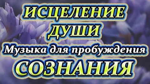 Музыка исцеления и восстановления организма