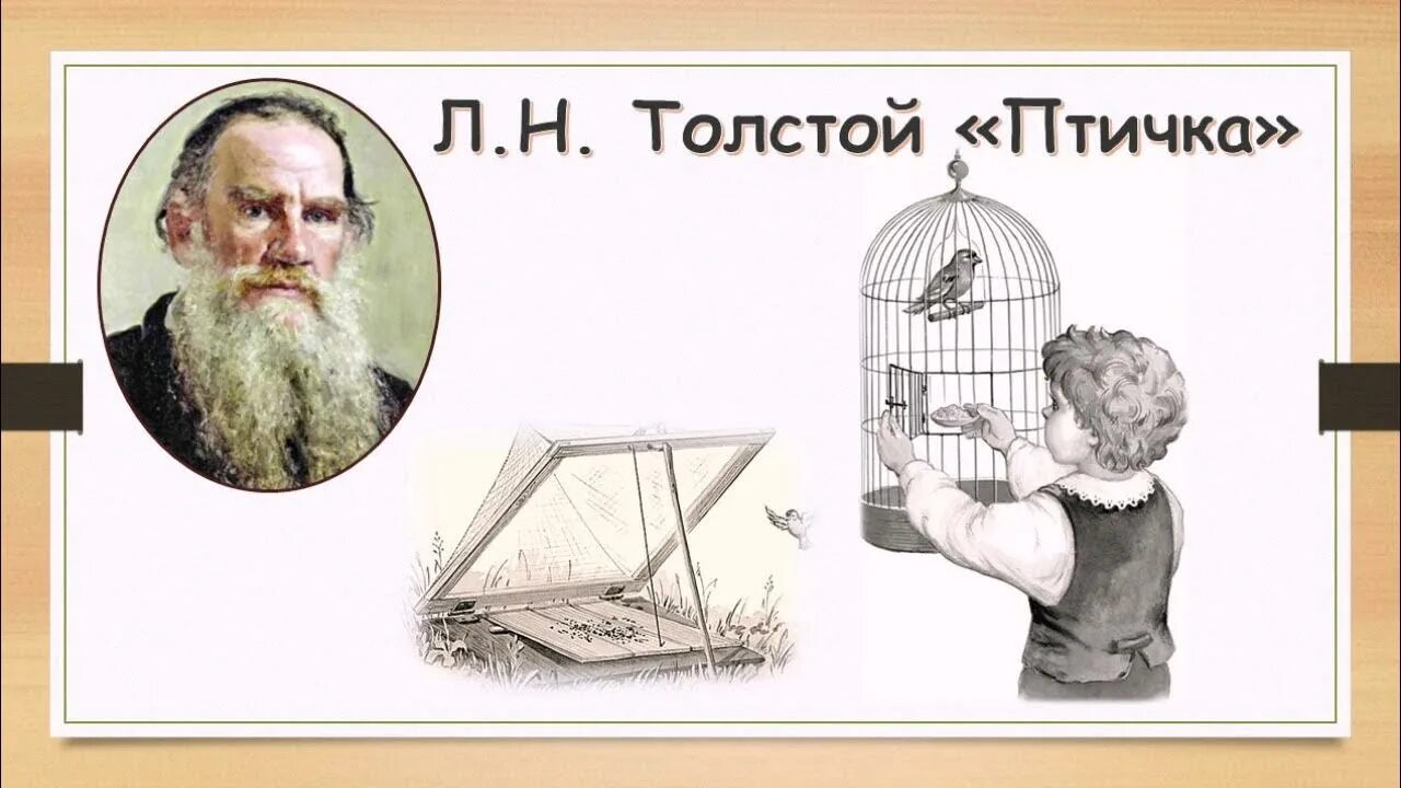 Лев Николаевич толстой рассказ птичка. Лев толстой птичка быль. Л толстой птичка. Рассказ л н Толстого птичка. Толстой птичка презентация