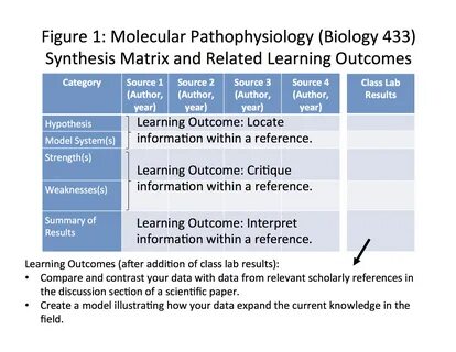 Synthesis Matrix PECOP Blog.