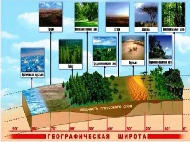 Географическая оболочка. Границы географической оболочки. Состав географической оболочки. Географическая оболочка картинки. Смерч в какой географической оболочке земли зарождается