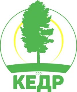 Кедр адрес