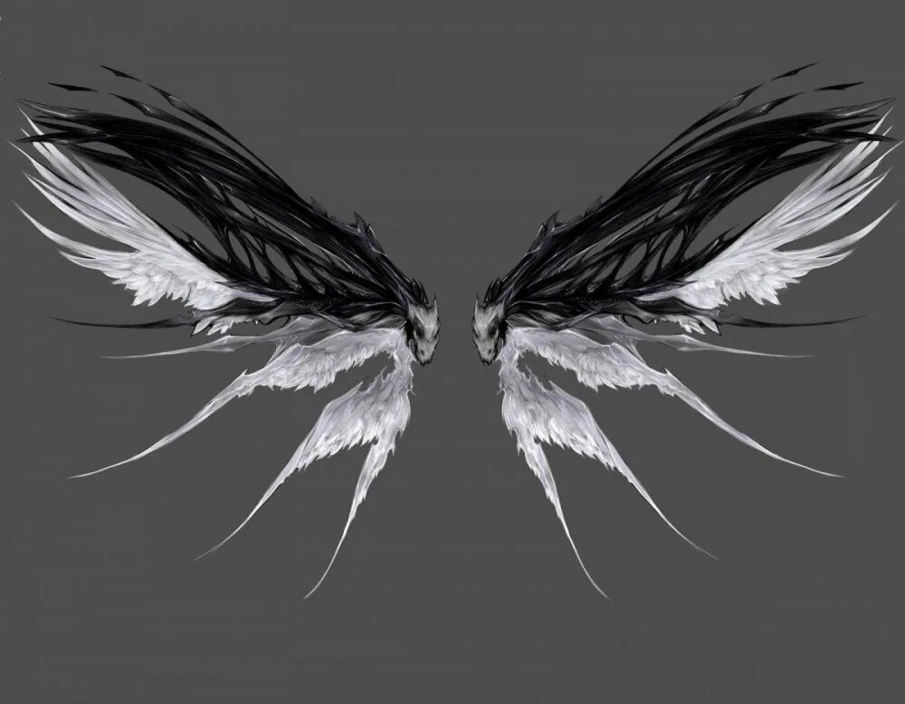 Крылья демона. Необычные Крылья. Крылья демона арт. Магические Крылья. Крылья на черном фоне