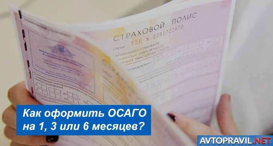 Можно оформить осаго на 6 месяцев