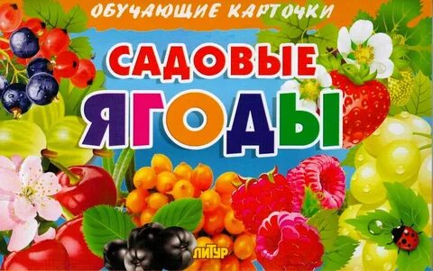 Спор затеяли в саду ягоды различные песня