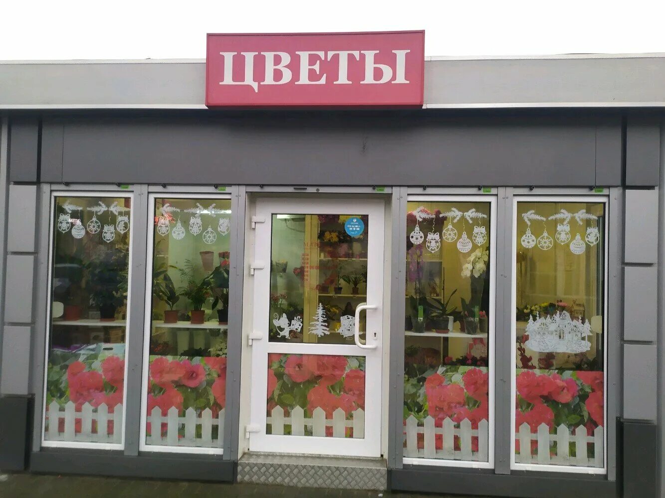 Цветочный калининград. Цветы мечты, калининград, улица горького, 28. Цветы калининград адреса. Цветы калининград адреса. Липовая аллея 2 калининград.
