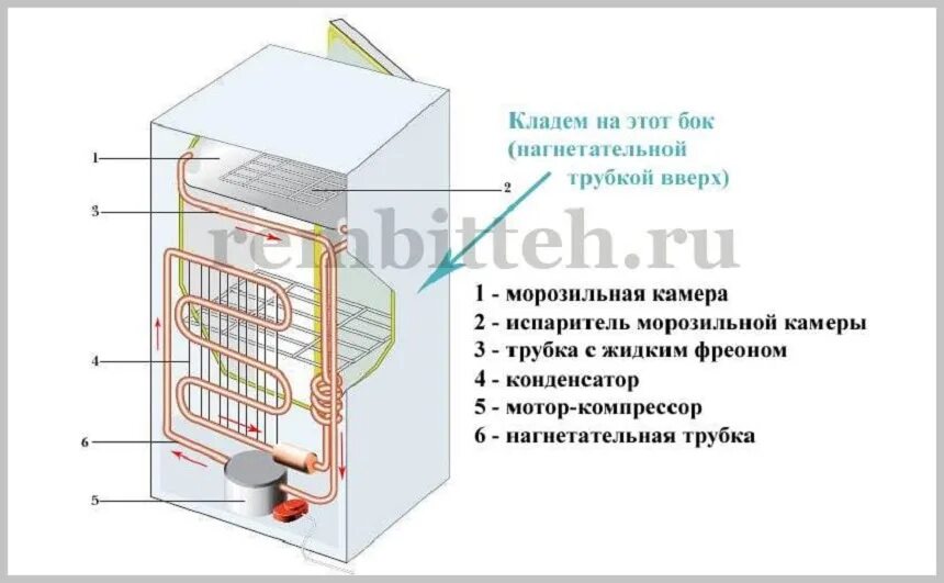 Можно возить холодильник лежа. Перевозка холодильника лежа на боку. Правильная транспортировка холодильника. Нагнетательная трубка в холодильнике. Транспортировка холодильника лежа.