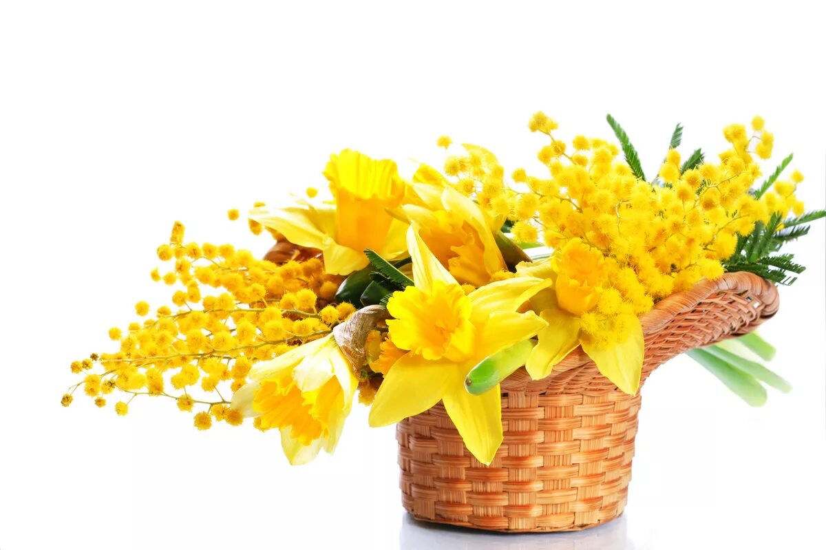 Букет весенних поздравлений. Тюльпаны нарциссы и мимозы. Весенние цветы желтые Мимоза.