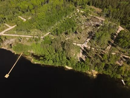 Александровская ленинградская область