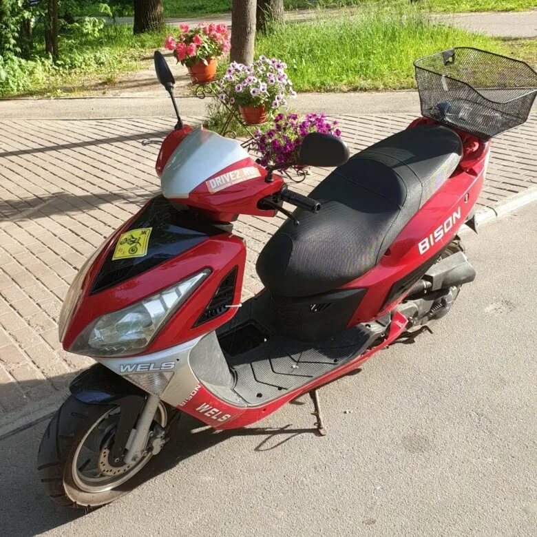 Скутеры в санкт петербурге. Wels Bison скутер. Скутер wels Bison 50cc. Скутер Bison Альфамото. Китайский скутер wels Elite.