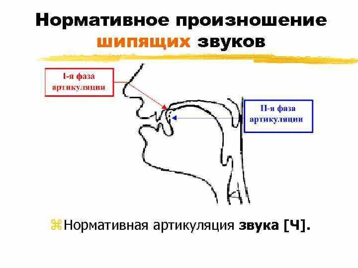 Как произносить ж